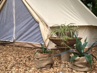 Into the Green Glamping - Chestnut - Markt Nordheim - 9