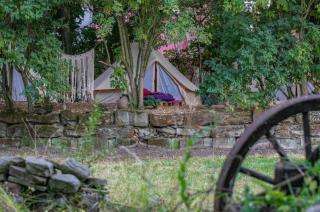 Into the Green Glamping - Chestnut - Markt Nordheim - 5