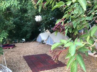 Into the Green Glamping - Chestnut - 2