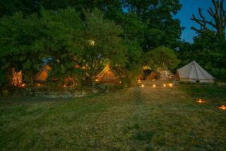 Into the Green Glamping - Oak - 2
