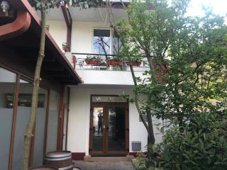Villa Rosa - Timişoara - 7
