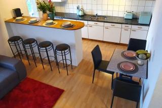 Swiss Mountains Apartments - Interlaken - 0