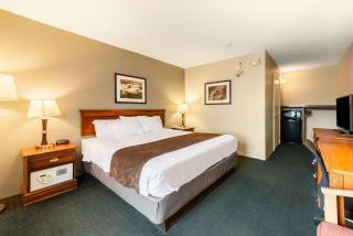 Quality Inn & Suites Vandalia near I-70 and Hwy 51 - 7