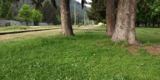 Стаи за гости ВЪРБАНИ - Velingrad - 5