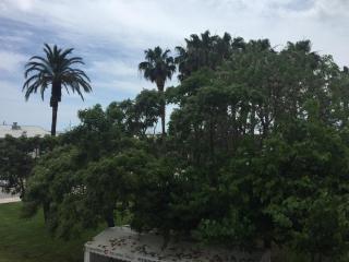 Apartamento delante del puerto deportivo . - 6