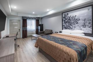 Super 8 by Wyndham Humble Houston Fallcreek - Humble - 7