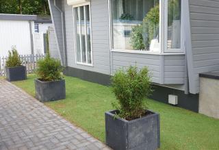 Chalet nr 30 in Putten - Putten - 9