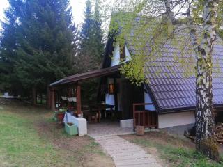 Holiday house Nature - Ravna Gora - 4