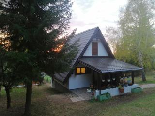 Holiday house Nature - Ravna Gora - 5