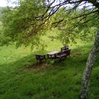 Casa del Gigi BnB - Albareto - 9
