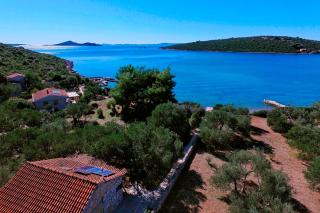 House Olive Tree - Tkon (Tuconio) - 0