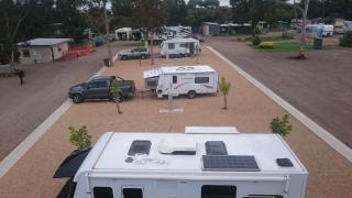 Murray Bridge Tourist Park - Murray Bridge - 1
