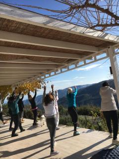 Ktima Noosfera Wellness & Retreat Center - Nees Vrisoules - 1