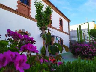 Hospedium Hotel Rural Soterraña - Madroñera - 7