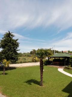 Villa „Drei Palmen“ - Sveti Filip i Jakov - 4