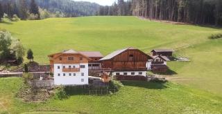 Holzerhof - Niederolang - 2