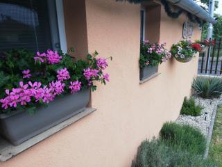 Danieli Holiday Home - Štúrovo - 8