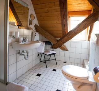 Gutshof-Hotel Waldknechtshof - Baiersbronn - 4