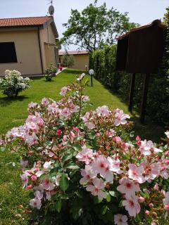 Agriturismo Severini - Fonteblanda - 4