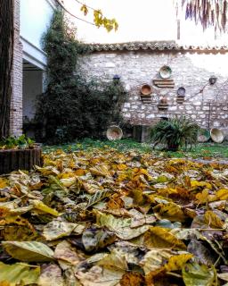 Hotel Ordóñez Sandoval - Úbeda - 7