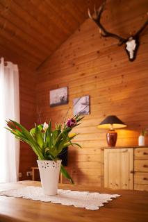 Ferienwohnung Arnika im Ferienhaus Bergwiese - 1