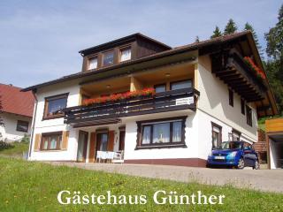 Ferienwohnung Günther - Baiersbronn - 0