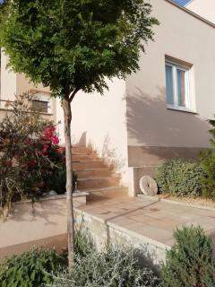Apartment Dandelion - Brela - 1