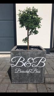 B&B Beach&Bos - Oostvoorne - 9