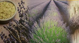 Hotel De La Loire - 3