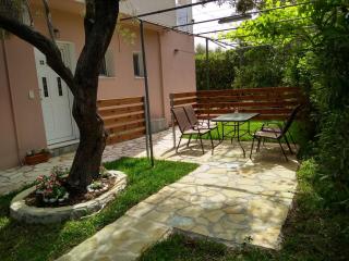 ligustro - Lefkada - 3
