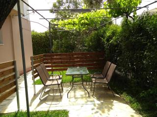 ligustro - Lefkada - 4