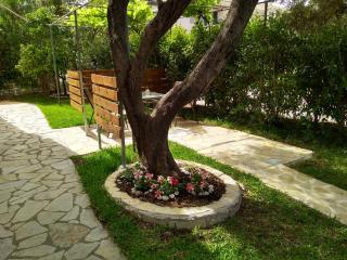 ligustro - Lefkada - 6