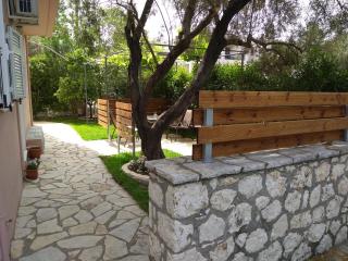 ligustro - Lefkada - 5
