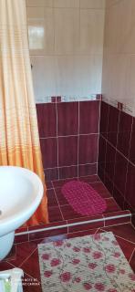 Apartmani Aleksijević - Zlatibor - 5