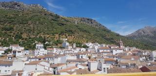 Casita de Rosario - Cortes de la Frontera - 2
