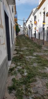 Casita de Rosario - Cortes de la Frontera - 3