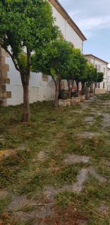 Casita de Rosario - Cortes de la Frontera - 4