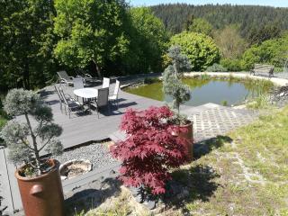 Apartment Eva - Wimbach - 2