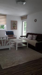 Nadia's home - Ilidža - 4