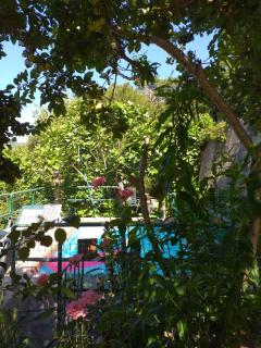 Chalet Su Foxile - 9