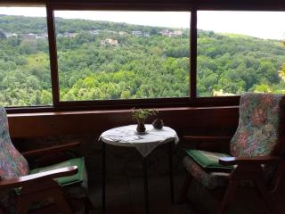 Chalet Su Foxile - 7
