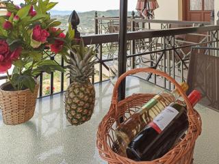 Chrissomallis Apartments - Città di Skiathos - 7