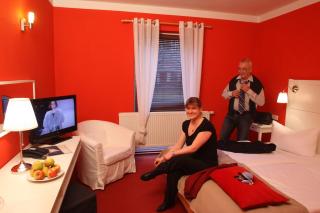 Schlossparkhotel Sallgast - Sallgast - 5