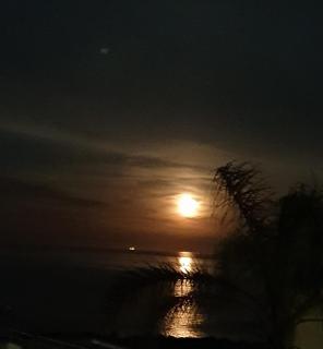 Acqua di Mare - 6