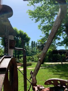 Il Casale sul Sile - Casale sul Sile - 2