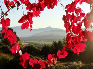 Mitchella farm - Wanaka - 9