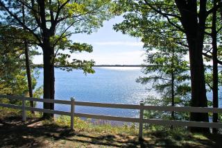 Cabin #5 - Times Square cabin - Carp Lake - 1