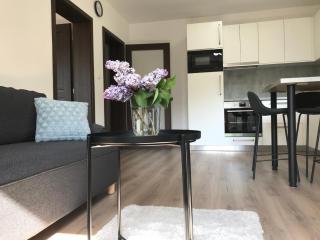 Apartmán NA KOPCI Krucemburk - Křížová - 1