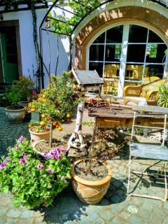 Willkommen in unserem kleinen Paradies - Venningen - 8