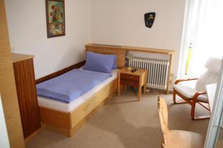 Landhaus Pension Jany - Bad Tatzmannsdorf - 3
